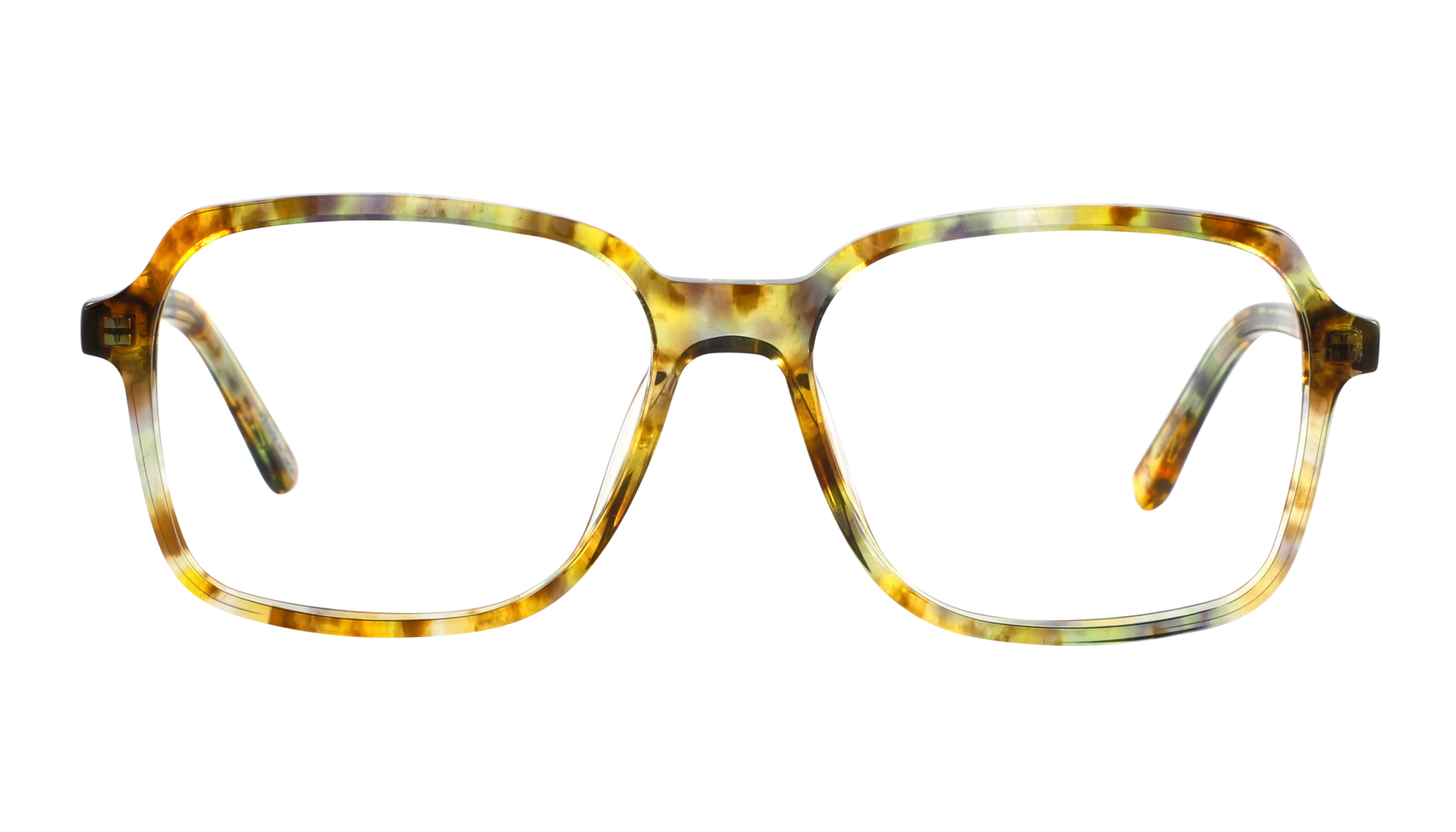 Eyewitness Sunny Bergamot