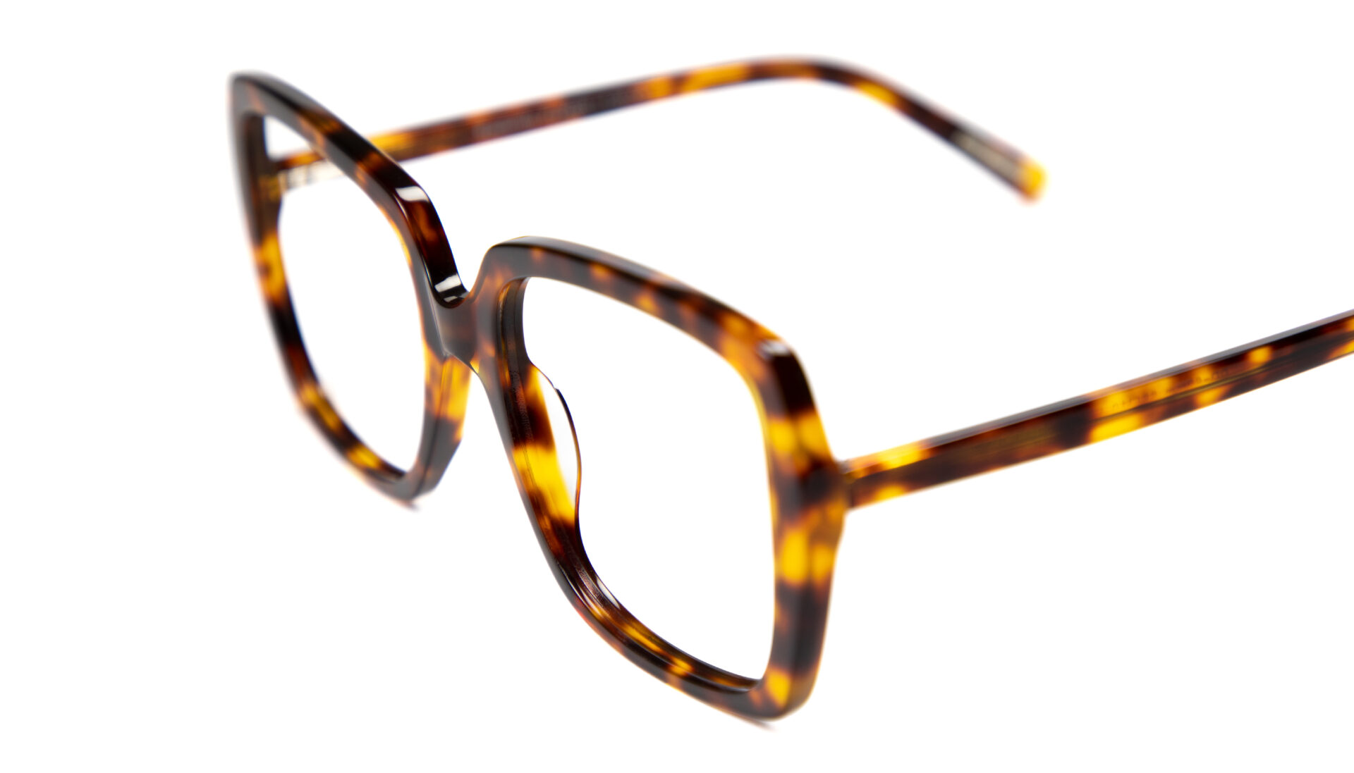 Eyedentity Turtle Shade